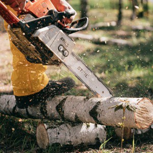 how to cut logs with a chainsaw