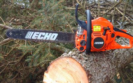echo cs490 chainsaw cutting tree